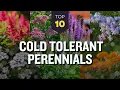Download Lagu TOP 10 Hardy Cold Tolerant Perennials ❄️🌼 Winter Flowers to Thrive 🌺