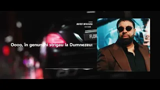 FLORIN SALAM - AM FOST INTR O CASA DE DEMULT OFFICIAL