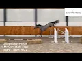 Lagu DHT 27-12-2025: Snowflake-Pardie FB, mare, 2022 by Mr Cornet de Regor