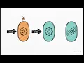 AWS Lambda Mastering Concurrency Control