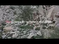 Enemigo Noches de Salon - Enjambre letra