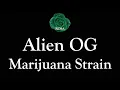 Alien OG Marijuana Strain