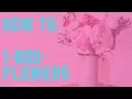 How to ARA 1-800-Flowers