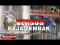 Download Lagu KAPAS TEMBAK GACOR VS RAMBATAN PARUH MERAH SI RAJA TEMBAK COCOK UNTUK MASTERAN SEMUA JENIS BURUNG
