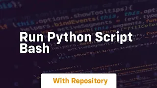run python script bash