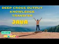 JAVA Data Mining Project - Deep cross output knowledge transfer