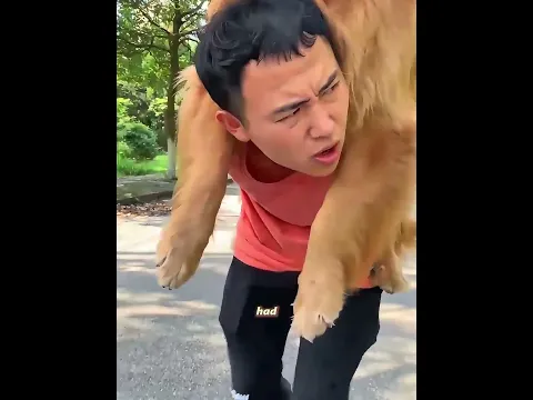The Dog He Always Teased Saved His Life When It Mattered Most #shorts