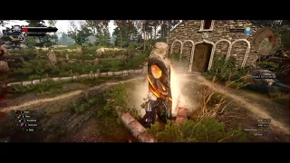 Highlight The Witcher 3 Wild Hunt Killing the Unkillable Wraith