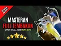 Download Lagu Masteran Full Tembakan Untuk Murai Batu #masteranmuraibatu