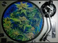 Download Lagu Vinyl Mix - Jungle - Vintage Mixer - Roland DJ-1000