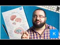 Learn the parts of the brain without losing your mind - labeling exercises and quizzes Kenhub