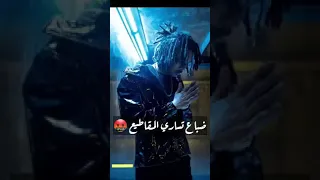 Wegz Dorak Gai ويجز حالات واتس دورك جاي مع مولوتوف Official Music Video X Molotof 
