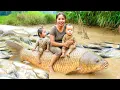 Download Lagu Harvesting a Giant Fish Pond full of Huge Carp and Tilapia to Sell at the Market, Gardening