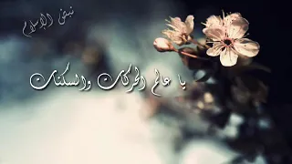 أنشودة  يارب أنك مالك أمر الورى  حالات انستقرام   تصميمي دندنها