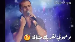 الدنيا بتلهي وسراقه وعيوني لقربك مشتاقة   امنتك عمر دياب دندنها