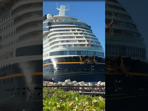 Wie kijkt er ook al uit naar de Disney Wish die in 2027 naar Europa komt?