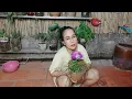 Download Lagu SAYA Tanaman Asli Bunga Kecil Sebaiknya Memberi Cinta