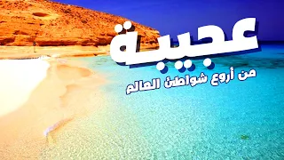 شاطىء عجيبة مرسى مطروح من أروع شواطىء العالم 