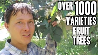 Thanks for watching! Try risk free, 100% guaranteed. http://bit.ly/lovexango See free testimonials v. 
