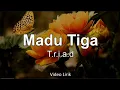 Download Lagu MADU TIGA - T.R.I.A.D VIDIO LIRIK