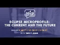 Eclipse MicroProfile The Current and The Future Jakarta Tech Talks