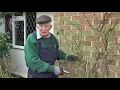 How to Prune Climbing Roses | Gardening Ideas | Peter Seabrook