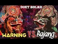 Download Lagu PAMIT MULIH - Duet Solah WARNING \u0026 BAJANG - ROGO SAMBOYO PUTRO voc DINDA 1289