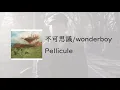 [korean(English) lyrics/translate]不可思議/wonderboy(불가사의/wonderboy)- Pellicule 가사 한국어
