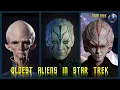 The 10 Oldest Alien Races In Star Trek Universe