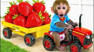 Bebe Mono BonBon Cuida A Sus Tiernos Amigos Y Construye Una Nave Espacial En Casa - MONO BONBON ESP