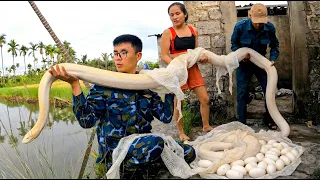 Brave Soldiers Rescues Young Girl from a Giant White Python in Abandoned House