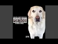 Give The Dog A Bone