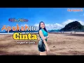 Download Lagu Vita Alvia - Dj Apakah Itu Cinta [Official Audio Spectrum]