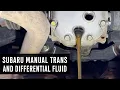How to do Subaru Manual Transmission and Differential Fluid Service on my 2017 Subaru Impreza Sport