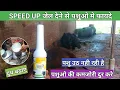 Use veterinary SPEED UP || गाय भैस का दुघ बढाए || पशु उठ नही पाती कमजोर हो गई हेल्दी स्वस्थ रखे