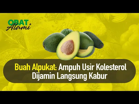 Alpukat: Buah Kaya Serat dan Segudang Khasiat