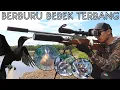 Download Lagu WOW❗DENGAN 970fps BURUNG INI TIDAK MAMPU DI TEMBUS ||BERBURU BELIBIS. BERBURU PECUK