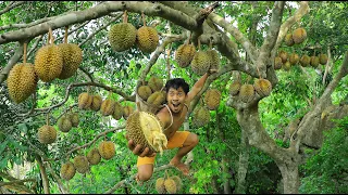 Life in Jungle.While hunting a large snake,he suddenly found a durian fruit on the top of a mountain
