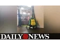 Dad Abandoned Child at Porn Star Meet and Greet
