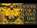 Download Lagu GROOVES FOR A SUNNY DAY #03 ◆ house \u0026 disco MIX ◆ by ISAAC VARZIM