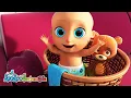 Download Lagu Cilukba, Ayo Main Petak Umpet! + Baby Hiu - Lagu Anak Anak - LooLoo Bahasa Indonesia