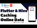 Flutter Offline Mode Caching API Data Using HIVE Database