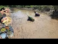 Download Lagu Thử Thách Một Ngày Đi Rừng Ngập Mặn|| Tâm Vện Vlog# 17