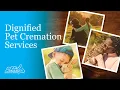 Pet Passages Your Guide to Dignified Pet Cremation Services