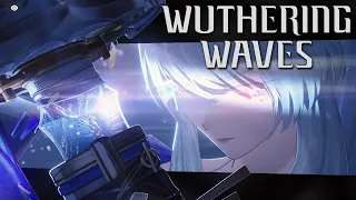 Wuthering Waves - Hiyuki vs Tactical Hologram Sigillum