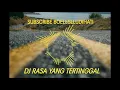 Download Lagu DJ RASA YANG TERTINGGAL
