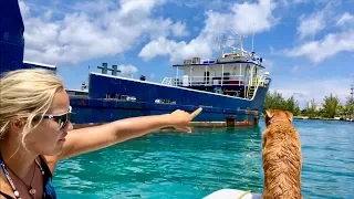 THE UNIQUE BOATS OF NASSAU HARBOUR