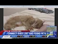 Sugar Land residents connect over lost and found pets CW39 Houston