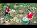 Download Lagu TIMELAPSE -- 688 Days Harvest Many Giant Earth Mushroom from Villagers - Goes to Market Sell