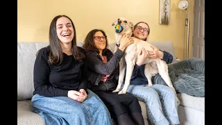 How This Abandoned Pooch Brings The Whole Family Home Together